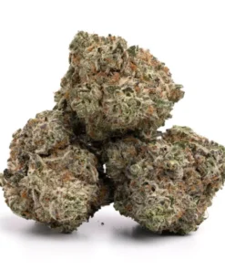 White Widow Strain