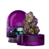Wizard Trees: Black Magic