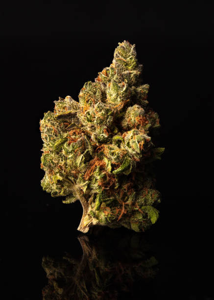 Cali Weed